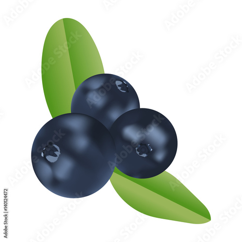 Vector realistic cranberries with leaves. Isolated objects