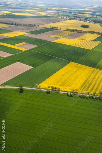 aerial view of the  harvest fields