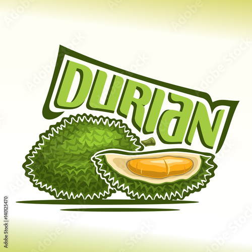 Vector logo Durian Fruit: still life of 2 green fresh thai durians, sliced quarter exotic fruit with flesh of bad smell, abstract icon asian king of fruit with title text for label, isolated on white.