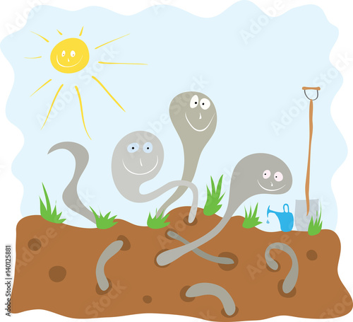  preparation of bio humus for seedlings/ Cheerful earthworms loosen the soil in the garden