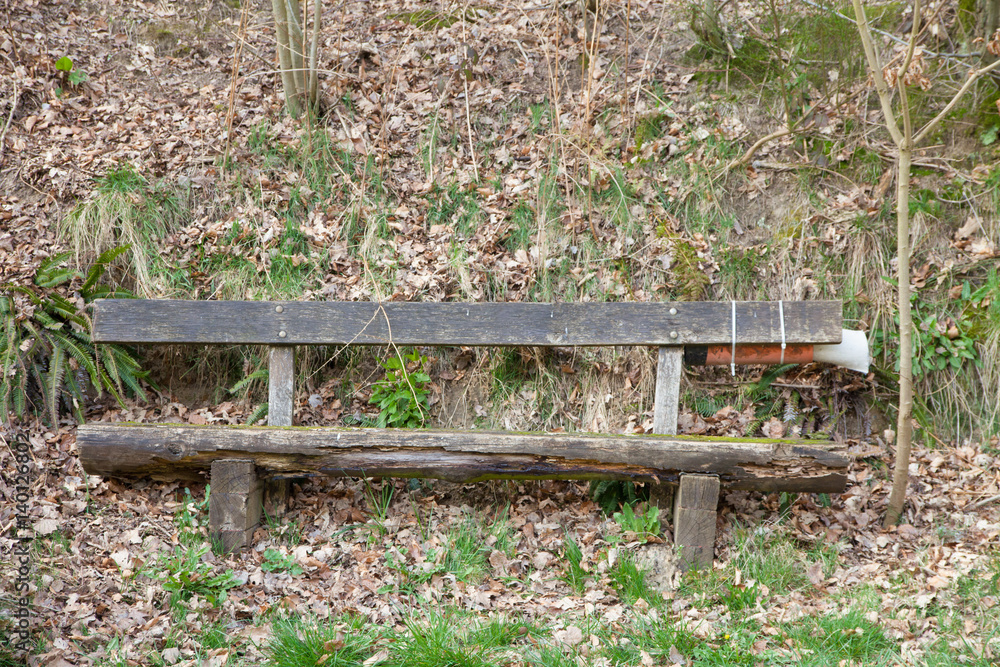 Fototapeta premium Bank in einem Wald