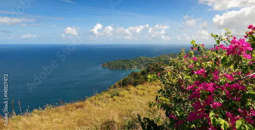 Republic of Trinidad and Tobago - Tobago island - Castara bay and flowers - Caribbean sea