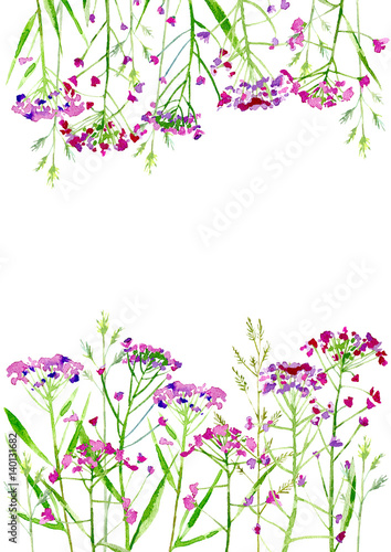 Floral border of a meadow herbs and flowers. Frame of a pink flowers. Watercolor hand drawn illustration. © jula_lily