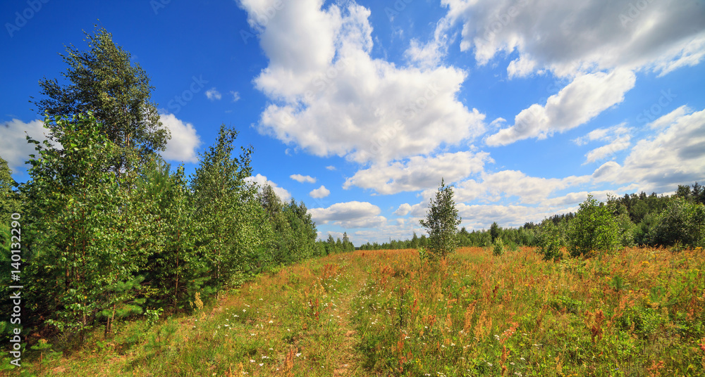 Summer in the Belarusian outback