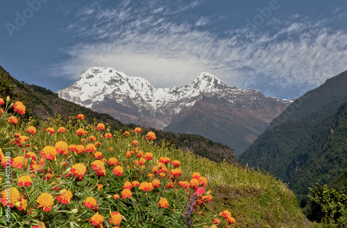 View of the Annapurna South from trek near Jhinu Danda - Nepal, Himalayas photo