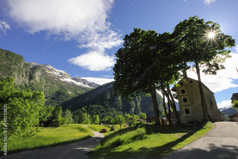 Naklejka premium swiss alps