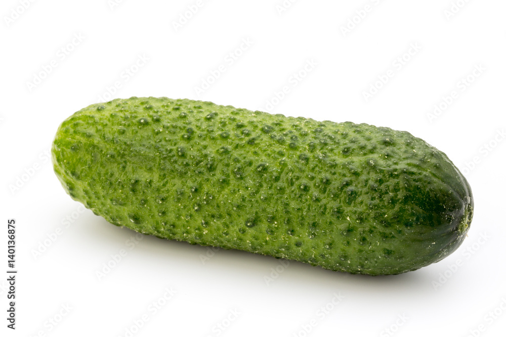 The first spring ecologically cucumbers. The first spring ecologically cucumbers.