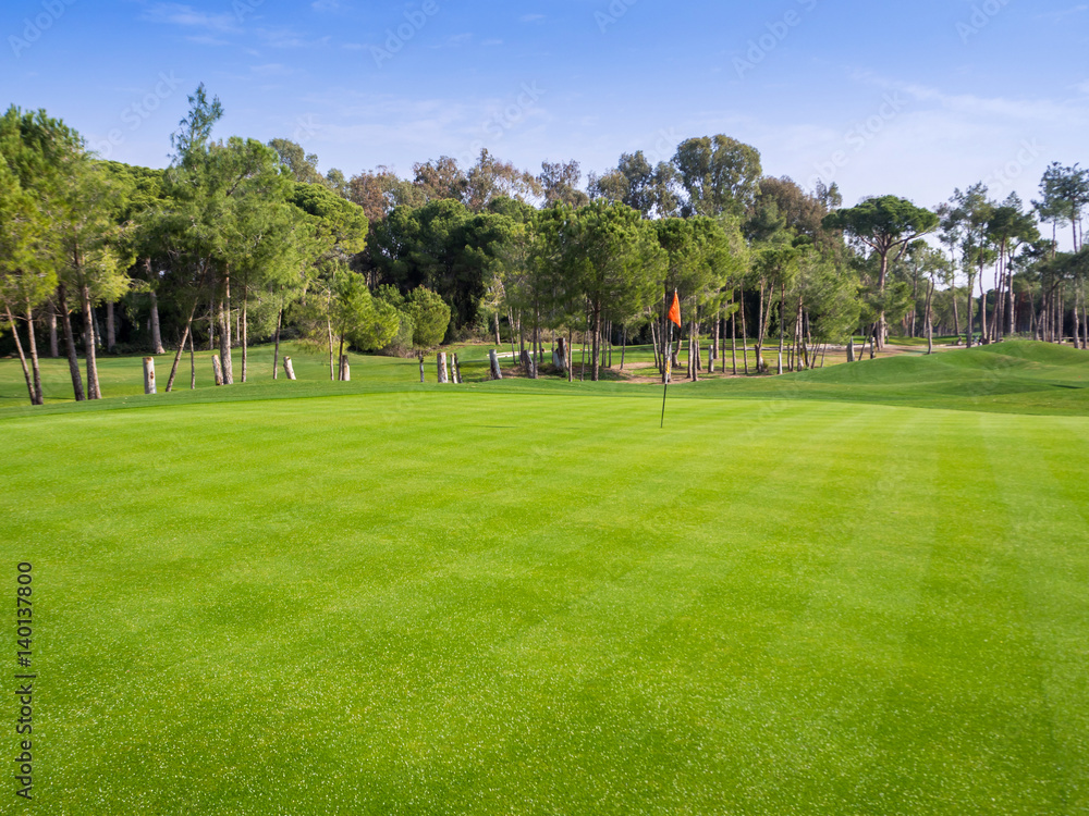 Fototapeta premium Golf course in the countryside