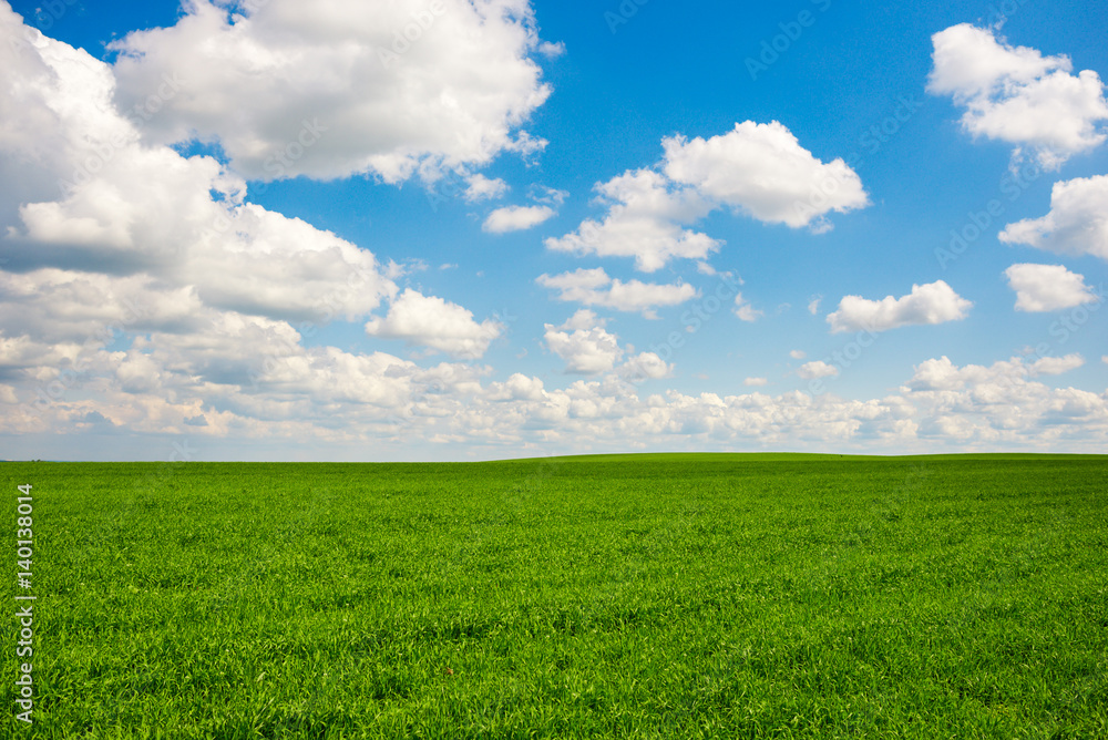 Green grass and blue sky with white clouds Green grass and blue sky with white clouds