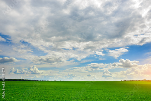 Green grass field and bright blue sky background