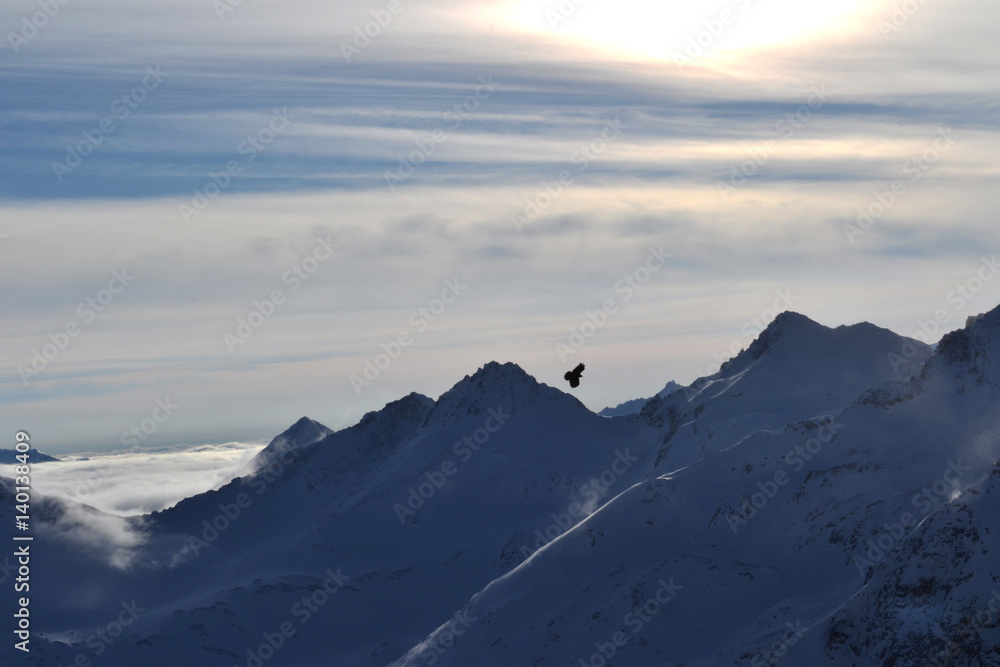 The bird soars in the sky amid the mountain scenery. Jackdaw flies in the mountains.