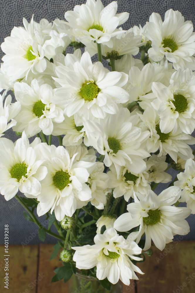 White chrysanthemums White chrysanthemums