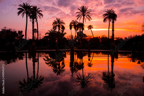 Palm Trees Reflected in the Water in Maria Luisa Park at Sunset, Seville, Andalusia, Spain