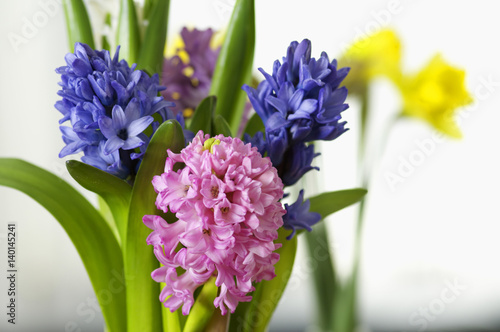 Flowers with multicolored blossoms  close-up  selective focus