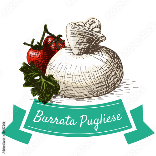 Burrata Pugliese colorful illustration.