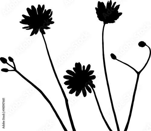 Wildflowers silhouette vector illustration in black and white