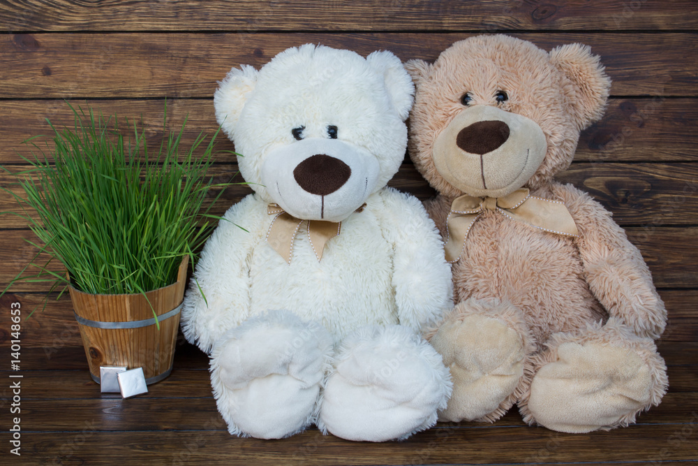 Obraz premium Two teddy bears