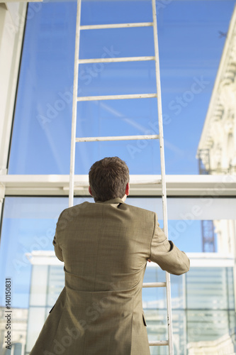 Businessman standing on a ladder