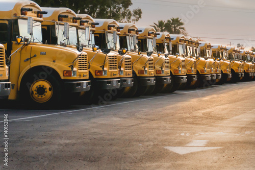 Parked Row of School Buses