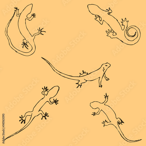 Lizards. Sketch by hand. Pencil drawing by hand. Vector image. The image is thin lines. Vintage