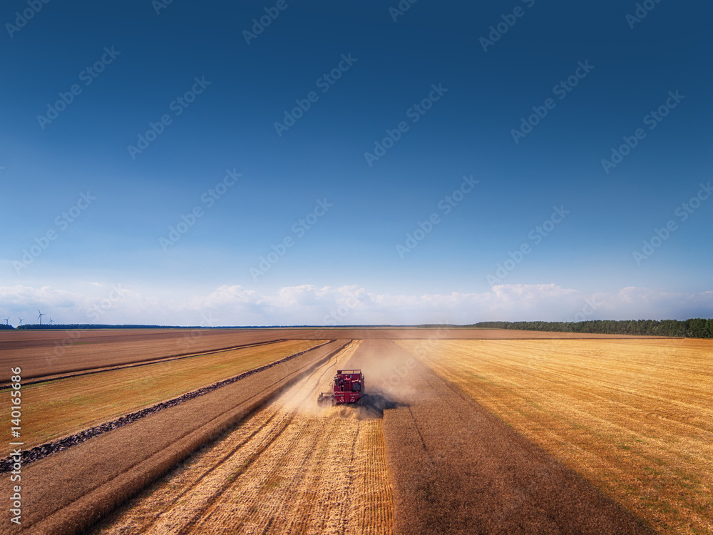 Aerial view of Combine harvester agriculture machine harvesting golden ripe wheat field Aerial view of Combine harvester agriculture machine harvesting golden ripe wheat field