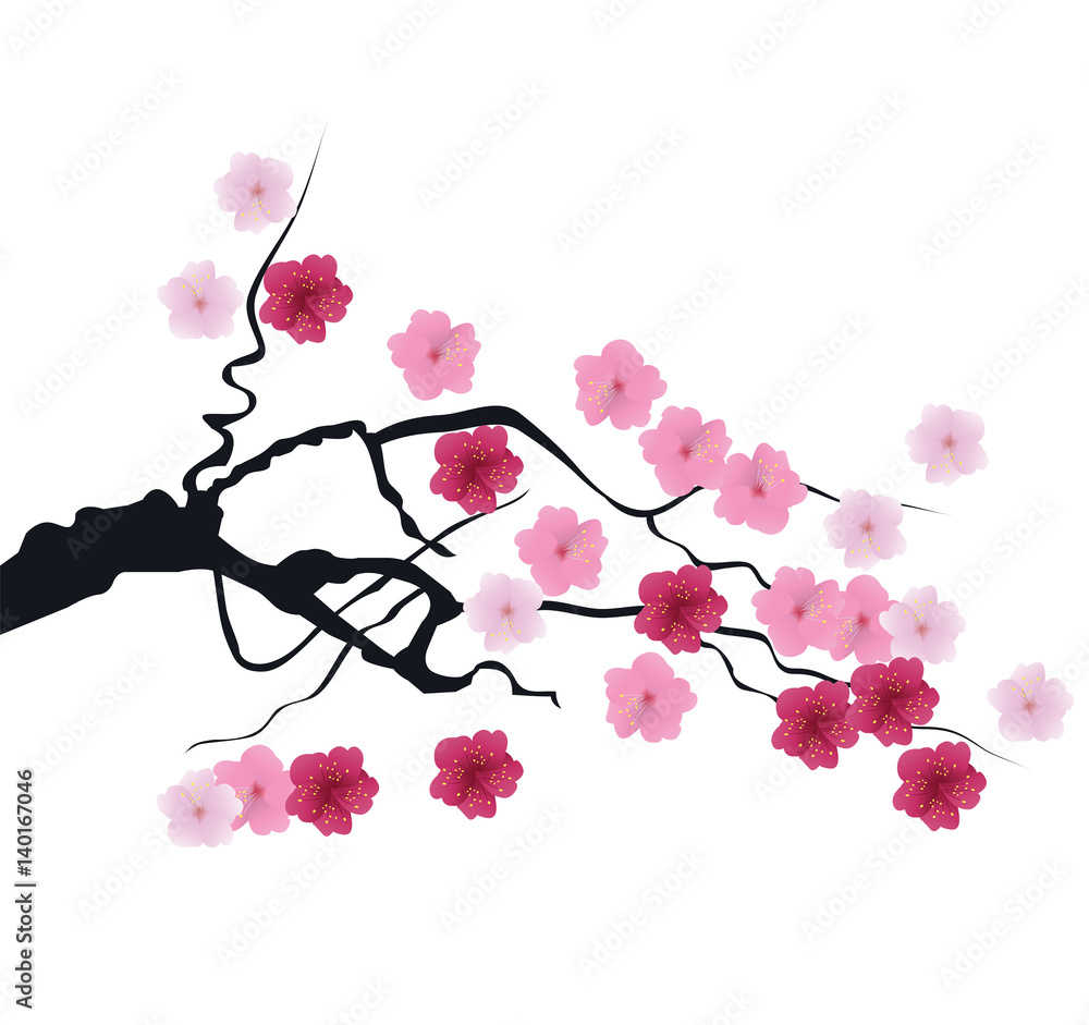Vector Cherry Blossom Stock Vector Adobe Stock 1000 F 140167046 L7P115mZ7vQDalI2vZcOE3rUvVFc3zgF
