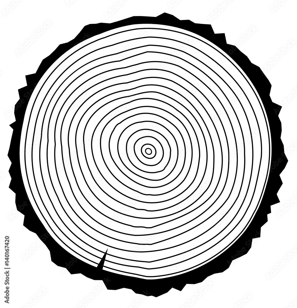 Fototapeta premium vector wood rings