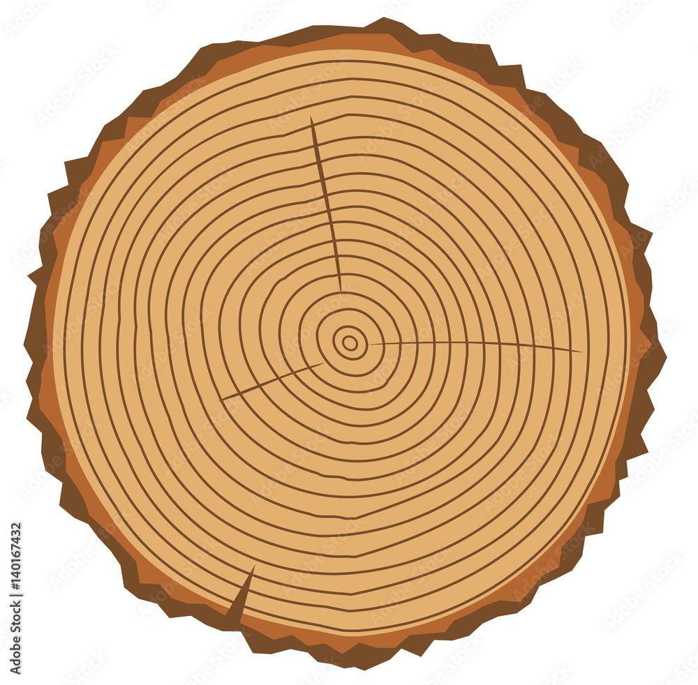 Fototapeta premium vector wood rings