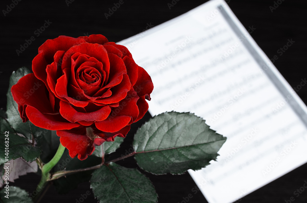 Red rose and sheet music page Red rose and sheet music page