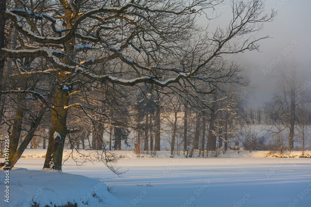 Winter Wonderland in the morning Winter Wonderland in the morning
