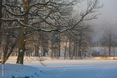 Winter Wonderland in the morning