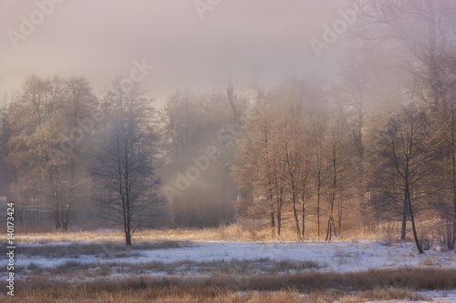 Winter Wonderland in the morning © Photo Collective
