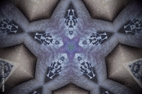 Abstract pigeon feathers mandala