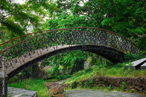 Metal bridge in summer park © Africa Studio