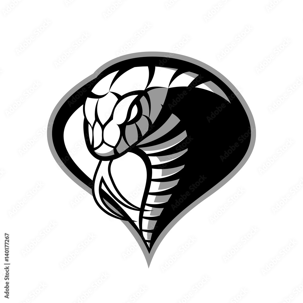 Obraz premium Wściekły kobra sport wektor koncepcja logo na białym tle. Nowoczesny projekt odznaki wojskowej profesjonalnej drużyny. Najwyższej jakości koszulka z nadrukiem dzikiego węża.