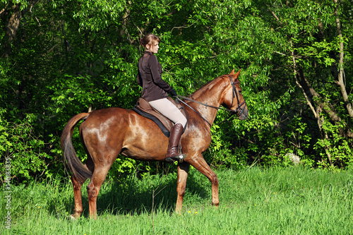 Beautiful blonde woman riding horse bareback in evening field  © horsemen