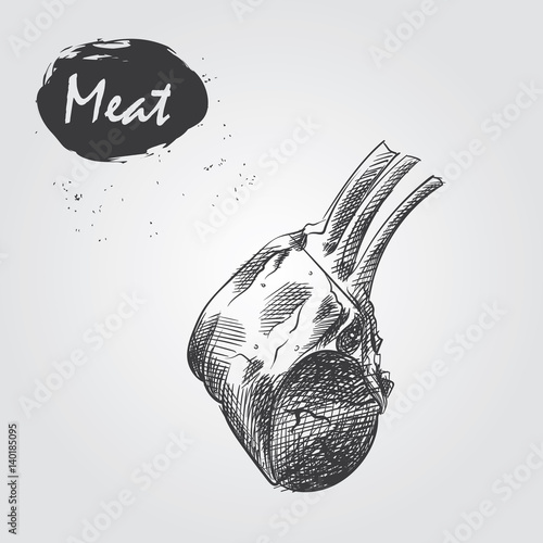 Sketch ribs on white background. Hand drawn meat elements Retro style poster with cow banner vector illustration. Use for butcher shop, livestock farm.