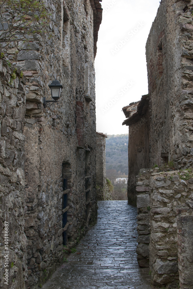 Naklejka premium Medieval house village, St. Severino of Central, Italy