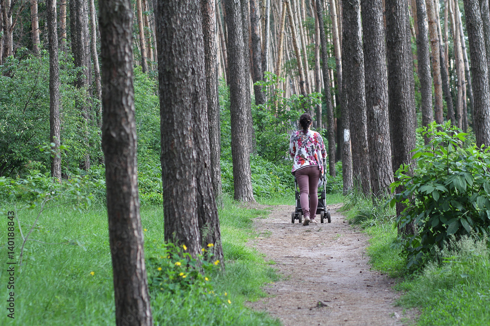 Woman with a stroller walks in a park among the trees