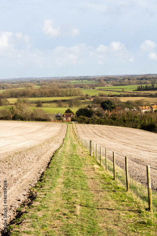 Fototapeta premium The way to Glynde