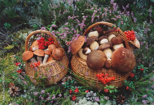 Basket with mushrooms.