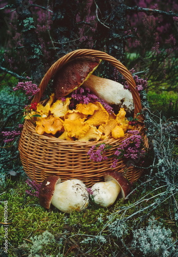 Basket with mushrooms.