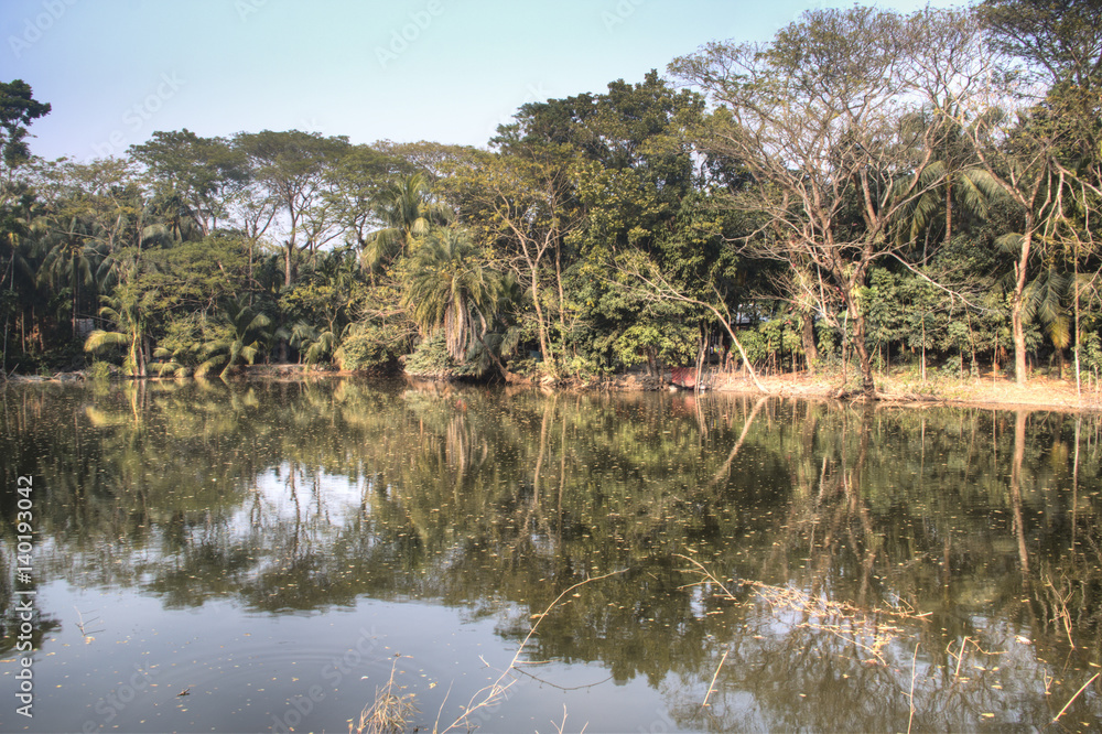 A small pond in Bagerhat, Bangladesh
