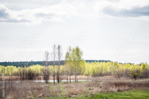 landscape © Andrey