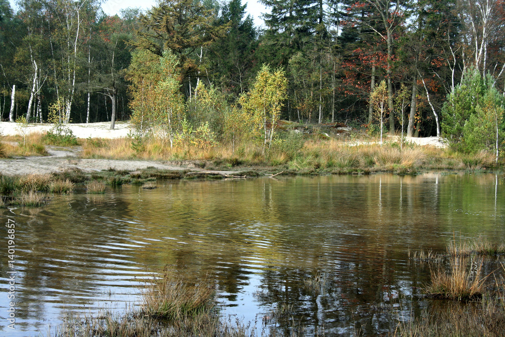Red Bach, Rode Beek in Brunssum Red Bach, Rode Beek in Brunssum