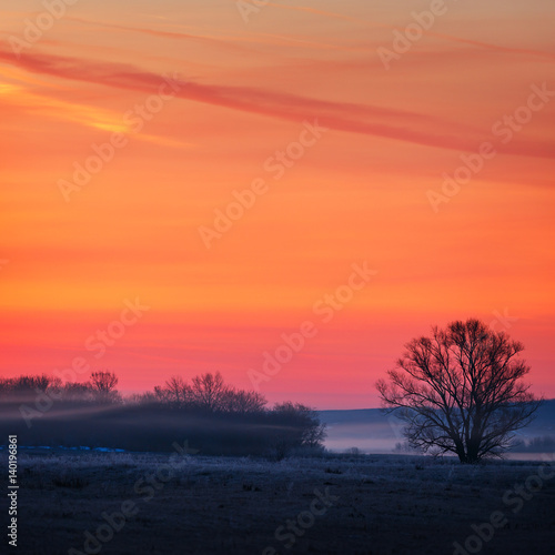 Tree without leaves background of clouds at dawn. The sky in the early morning. Fog over the meadow.