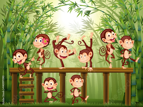 Scene with monkeys in the bamboo forest