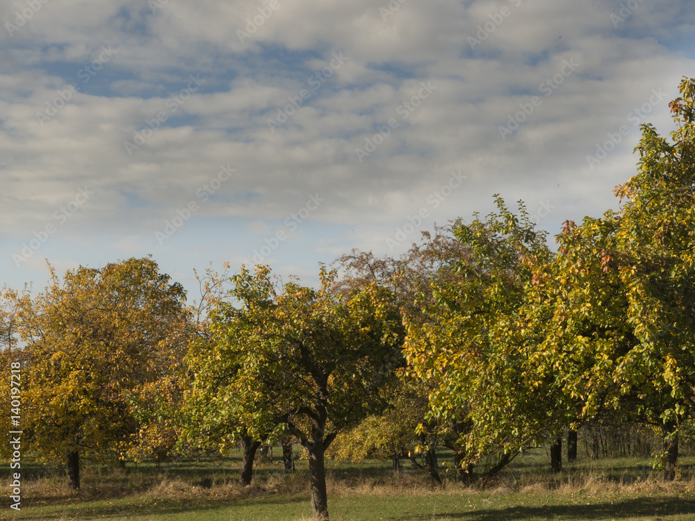 Herbst Herbst