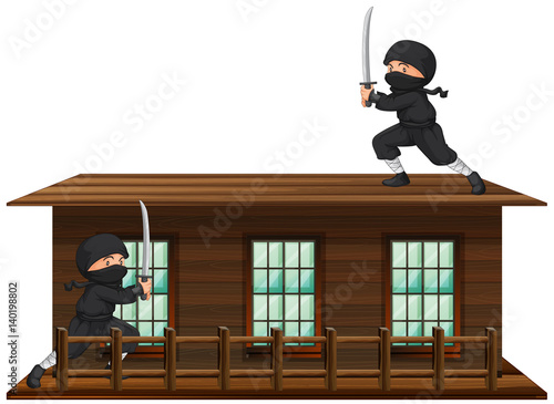 Ninja with sword on the roof