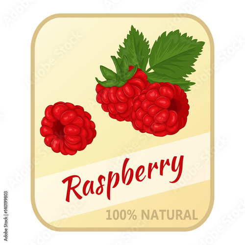 Vintage label with raspberry isolated on white background in cartoon style. Vector illustration. Berries Collection.